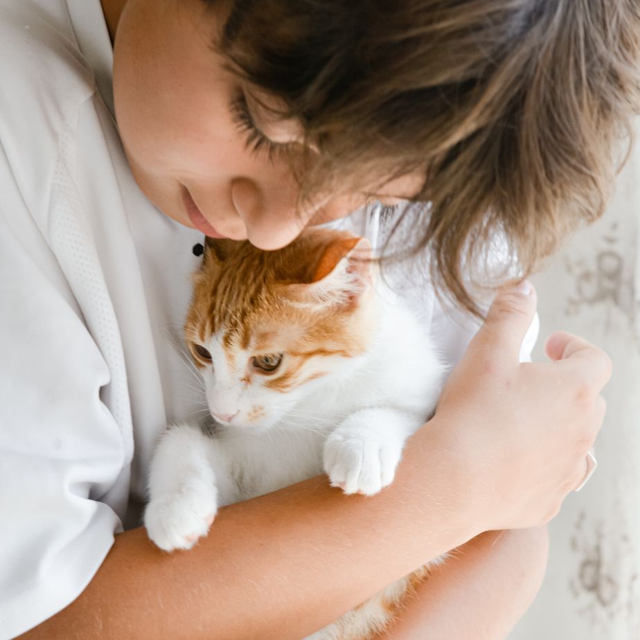 10-tell-tale-signs-that-your-cat-loves-you